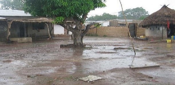  Hivernage 2022 : Ziguinchor et Kolda enregistrent leurs premières pluies
