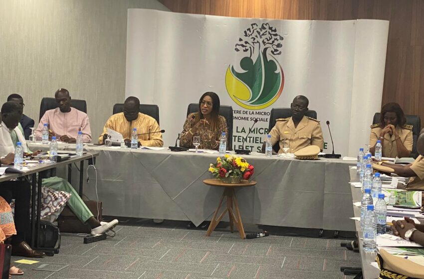  Mme Zahra Iyane THIAM DIOP, Ministre de la Microfinance et de l’Economie sociale et solidaire, a présidé un Comité régional de Développement spécial consacré au….