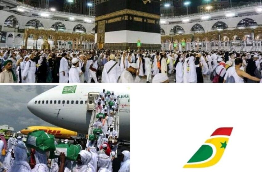  Hadj 2022 : une compagnie saoudienne retenue pour assurer le transport des pèlerins sénégalais suite au désistement de Air Sénégal