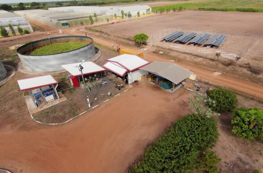  Lancement de la « Station Solaire Tysilio » à Sefa (Casamance) – Economie énergétique, emploi des jeunes en zones rurales