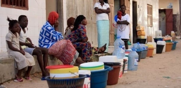  Pénurie d’eau à Kolda : Les habitants en quête désespérée de liquide précieux