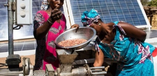  Les emplois verts au Sénégal ont le potentiel de créer plus de 20 000 emplois