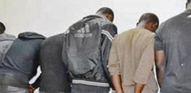  TGI MBOUR : Une bande de voleurs de porcs risque 2 ans de prison