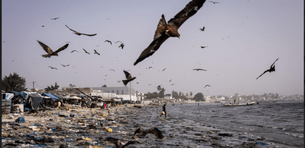  [Reportage] La baie de Hann, coin de paradis devenu égout de Dakar, attend d’être dépolluée