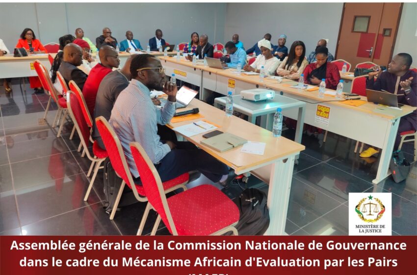  Programme de bonne gouvernance : le mécanisme africain d’évaluation par les pairs classe le Sénégal parmi les bons élèves