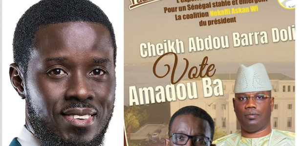  [Présidentielle] Cheikh Abdou Bara Dolly félicite Bassirou Diomaye Faye