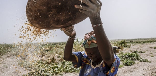  Crise alimentaire du Sénégal : six départements dans le rouge